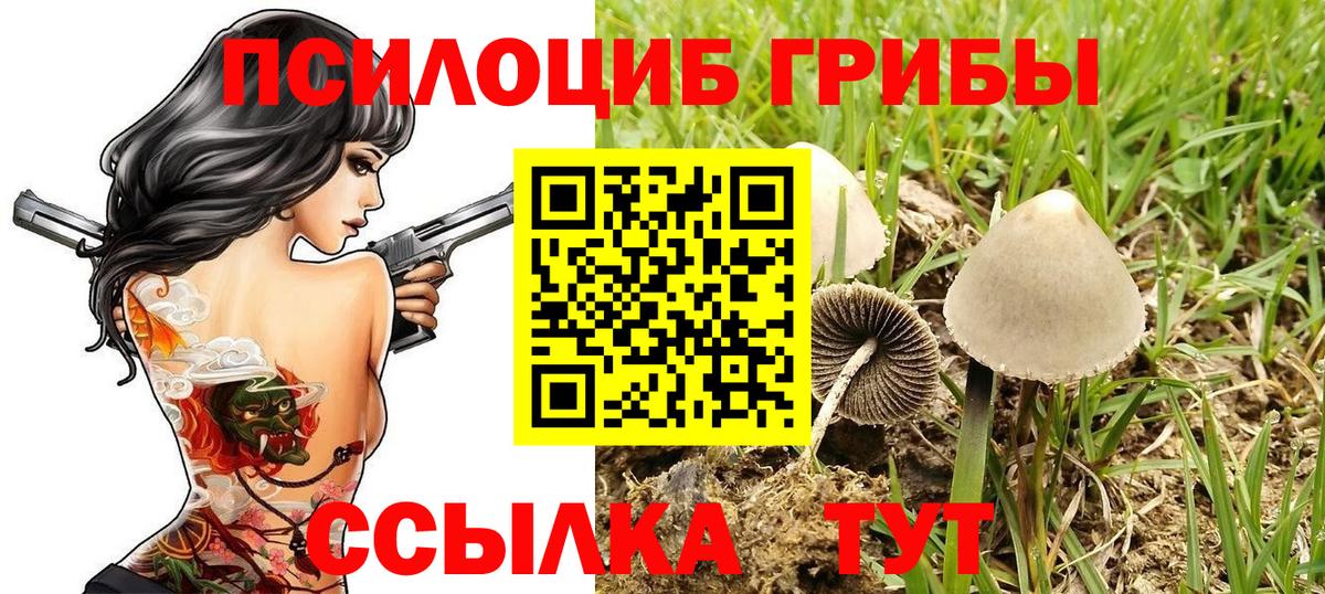Псилоцибиновые грибы GOLDEN TEACHER  продажа наркотиков  Тобольск  Вход с VPN 