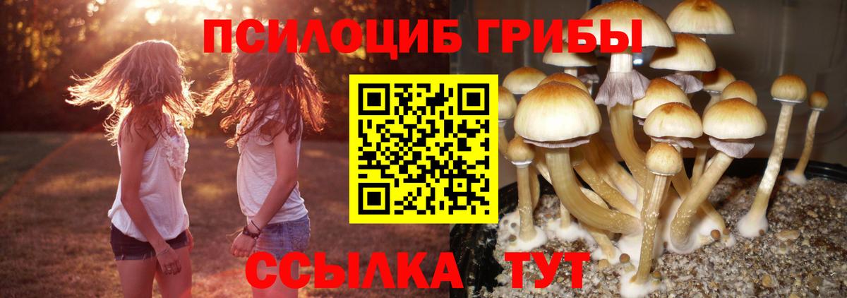 Псилоцибиновые грибы Magic Shrooms Тобольск